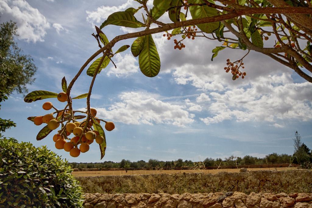 Finca Agroturismo Can Carro Campos  Zewnętrze zdjęcie