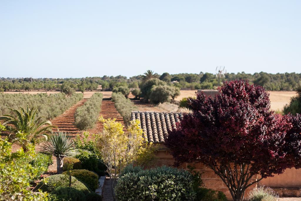 Finca Agroturismo Can Carro Campos  Zewnętrze zdjęcie